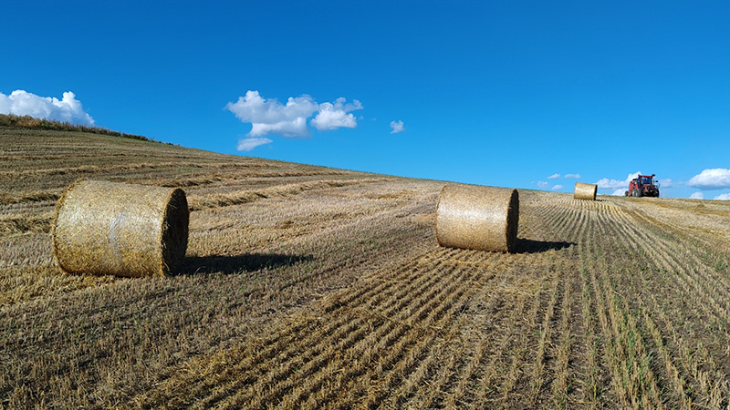 安全可靠产品图